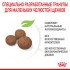 Роял Канин Медиум Паппи, 3 кг