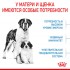 Роял Канин Джайнт Стартер, 15 кг