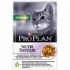 PRO PLAN Sterilised для кошек, Индейка в желе 85г